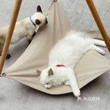 成都猫咖｜撸猫只有一次和无数次
