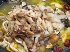 -菌乡缘·野生菌蒸汽鱼火锅(江边夜市店)