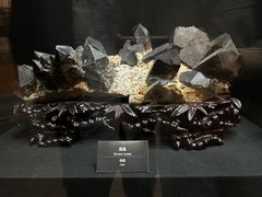 -烟台自然博物馆