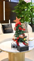 -洁铭新加坡医美