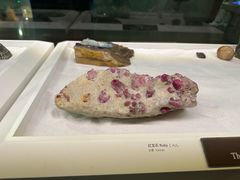 -巴黎贝甜(杨浦宝地店)