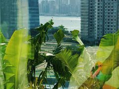 -香港都会海逸酒店