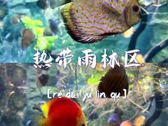-北京海洋馆