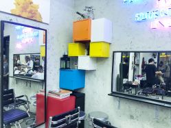 -SALON V