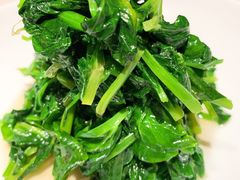 清炒豌豆尖-四季民福烤鸭店(王府井灯市口店)