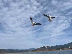 -丽江泸沽湖景区