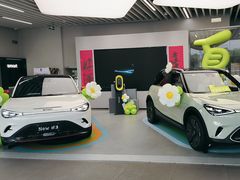 -上海浦东smart汽车全功能店(金桥店)