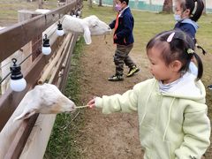 -三圣花乡旅游区
