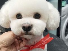 -宠物家(角门东店)