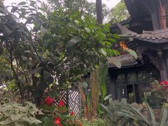 -大妙火锅·非物质文化遗产(东湖公园店)