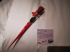 -张掖华辰国际大酒店