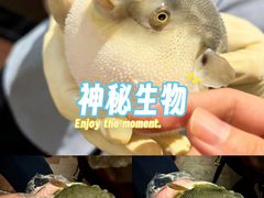 -肆月河豚·淮扬菜·湘菜(华天店)