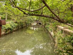 -广富林郊野公园