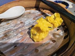 -点都德·毕德寮