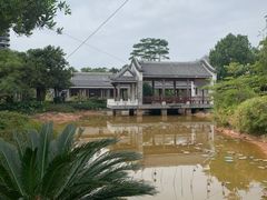 -大亚湾红树林城市湿地公园