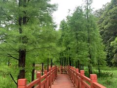 -广州市石门国家森林公园