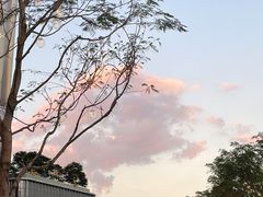 -深圳湾万象城(南山店)