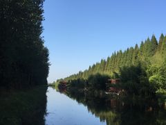 -黄海国家森林公园