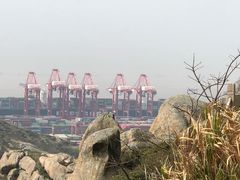 -洋山深水港