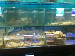 水产区-南海渔家•海鲜•正宗海南菜(海棠湾店)