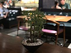 -Mercato莫卡多露台餐厅与酒吧(K11店)