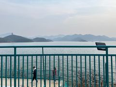 -望湖烤鱼