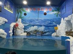 -左海海底世界