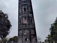 -上海佘山国家森林公园天马山园