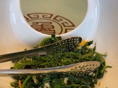 桑树芽-齐鲁王府