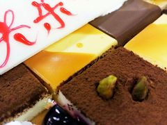 -维尔纳斯·生日蛋糕动物奶油冰淇淋蛋糕(人大店)