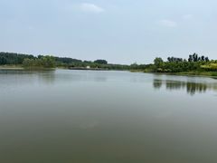-东郊湿地公园