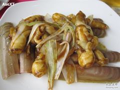 性价比最低的蛏子-海岛渔村大酒店(云霄路店)