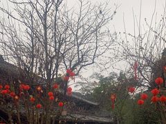 -峨眉山报国寺