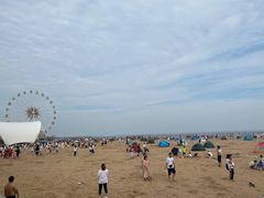 -碧海金沙