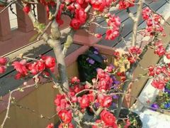 -南通洲际绿博园