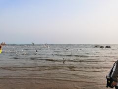 -老虎石海上公园