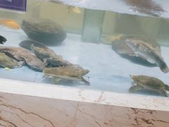 -旺顺阁海鲜广场(亚运村店)