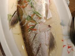 -扬州狮子楼·非遗淮扬菜(东关街店)