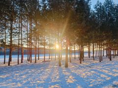 -北极村旅游风景区