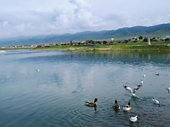 -青海湖国家重点风景名胜区