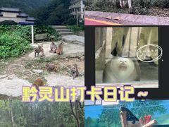 -黔灵山公园