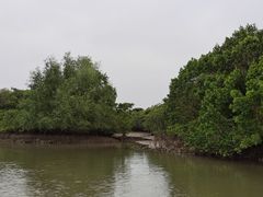 -东寨港红树林旅游区