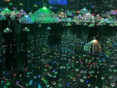 -上海外滩星空失恋减压馆(外滩旗舰馆)