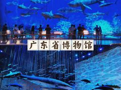 -广东省博物馆