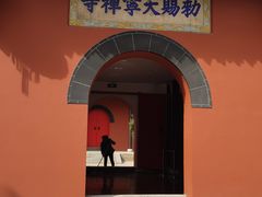 -扬州大运河文化旅游度假区·盆景园