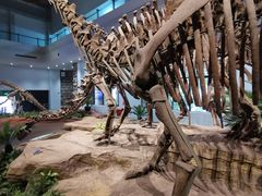 -自贡恐龙博物馆