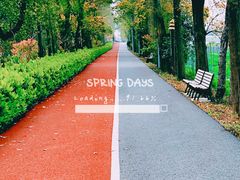 -上海长兴岛郊野公园