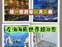 -左海海底世界