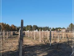 -安德鲁户外烧烤帐篷营地(马泉营店)