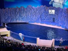 -珠海长隆海洋王国
